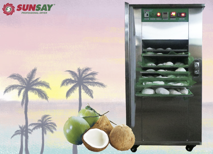 Dừa non sấy lạnh bằng máy sấy trái cây cho ra chất lượng tốt nhất