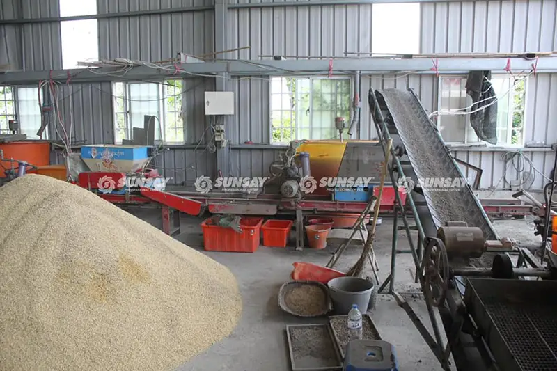 Quy trình thu hoạch và xử lý lúa