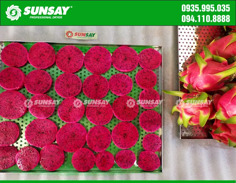 Thanh long tươi trước khi sấy