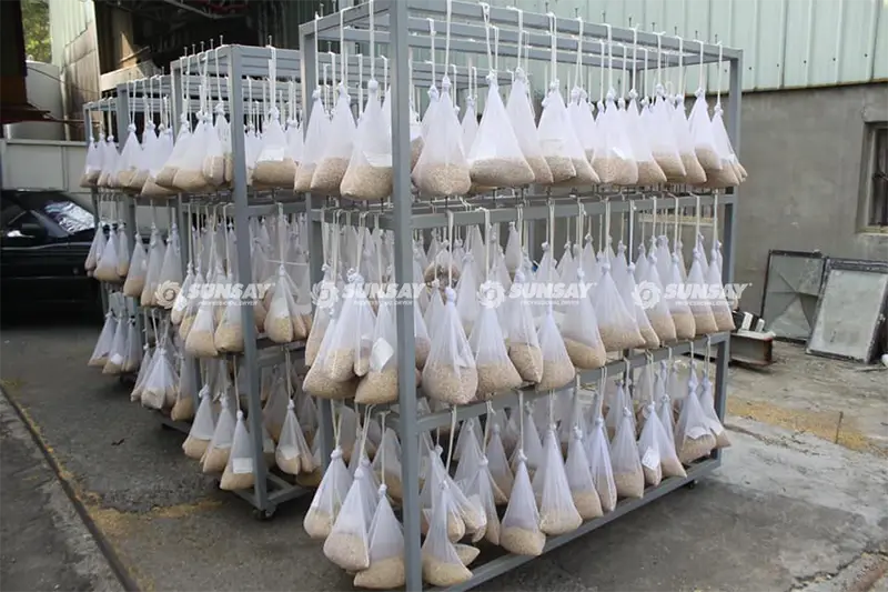Sản phẩm nông nghiệp