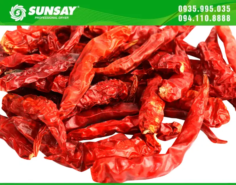 Ớt sấy khô nhanh chóng và khô đều nhờ máy sấy SUNSAY