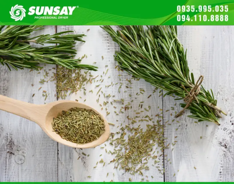 Hương thảo sấy khô giữ được dược tính và hương thơm của nó