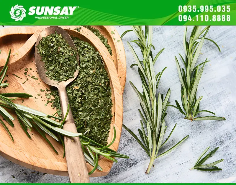 Lá hương thảo sấy khô bằng máy sấy SUNSAY