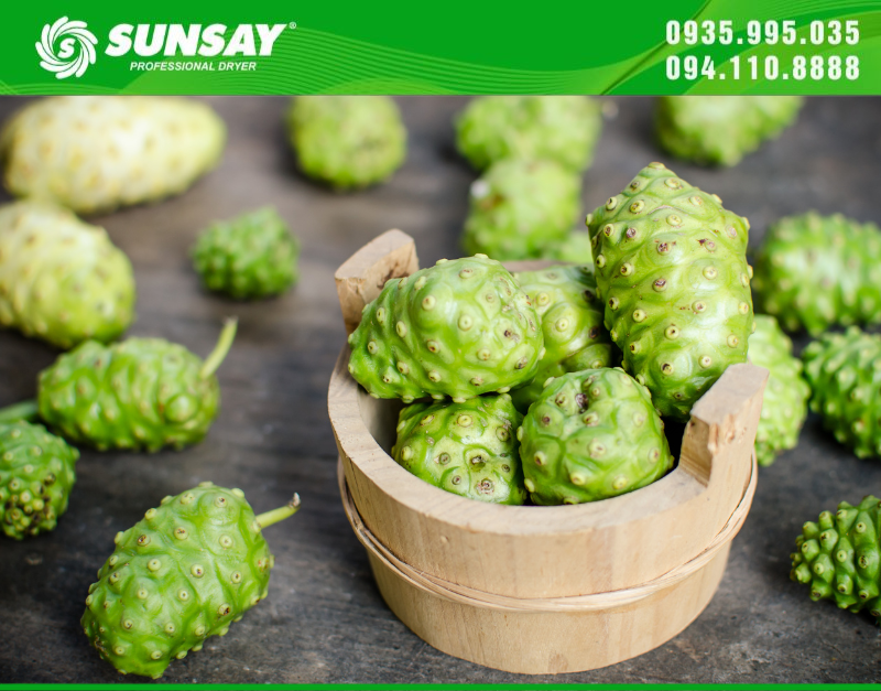 Trái nhàu có nhiều dược tính rất tốt cho sức khỏe