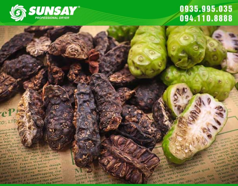 Trái nhàu được sấy khô bởi máy sấy SUNSAY