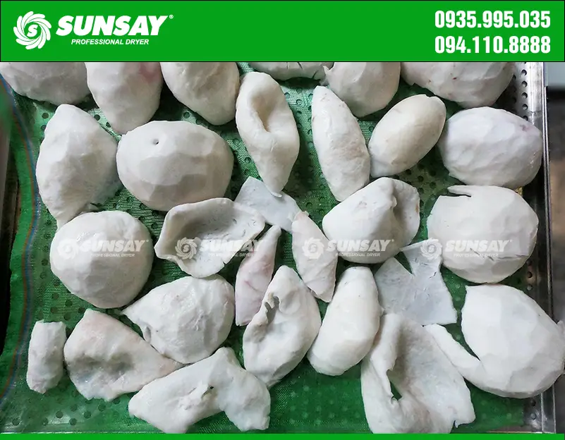 Máy sấy dừa tươi thơm SUNSAY