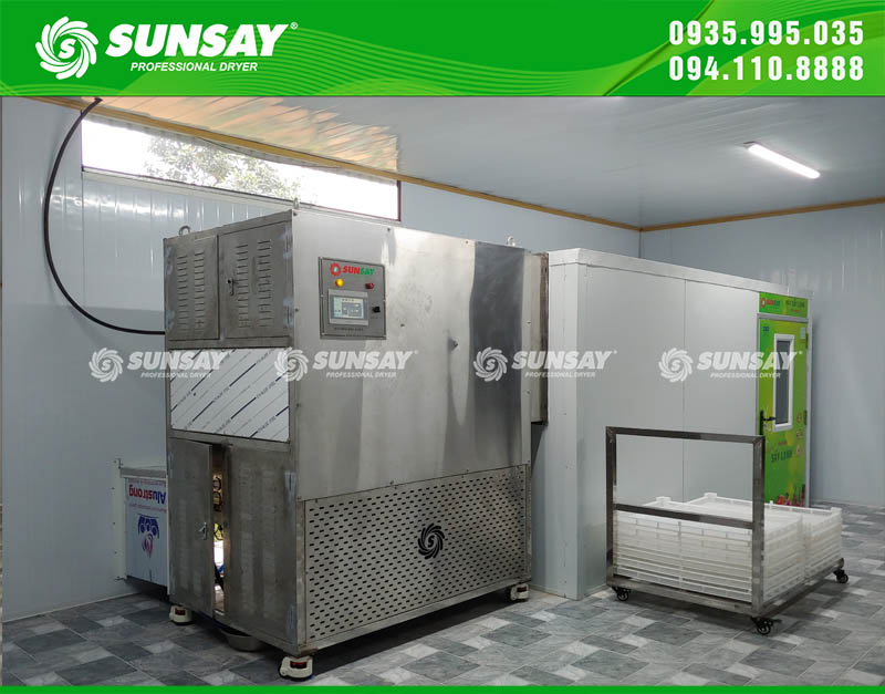 SUNSAY đã lắp đặt máy sấy lạnh 200kg đến Phú Thọ thành công và đưa máy vào hoạt động ổn định