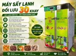 Các tính năng của máy sấy lạnh đối lưu 30 khay