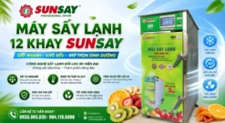 Máy sấy lạnh 12 khay