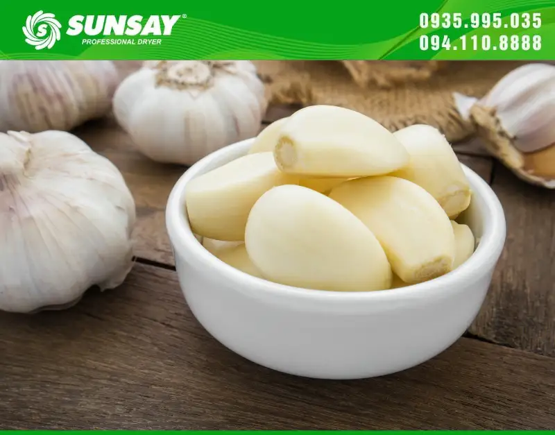 Máy sấy SUNSAY giúp tỏi được sấy khô hiệu quả và đạt tiêu chuẩn