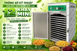 Thông số kỹ thuật của máy sấy nhiệt đối lưu 12 khay mini