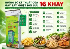 Thông số kỹ thuật của máy sấy nhiệt đối lưu 16 khay