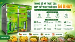 Thông số kỹ thuật của máy sấy nhiệt đối lưu 64 khay