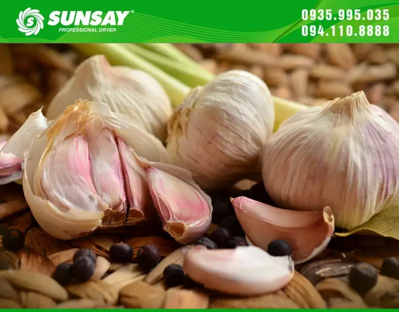 Tỏi khô sấy giúp bảo quản được lâu dài
