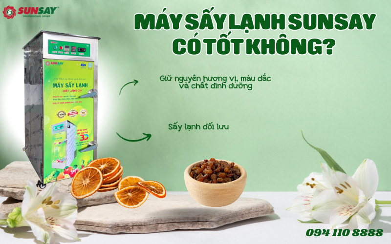 Máy sấy lạnh SUNSAY có tốt không - Đánh giá từ người dùng thực tế