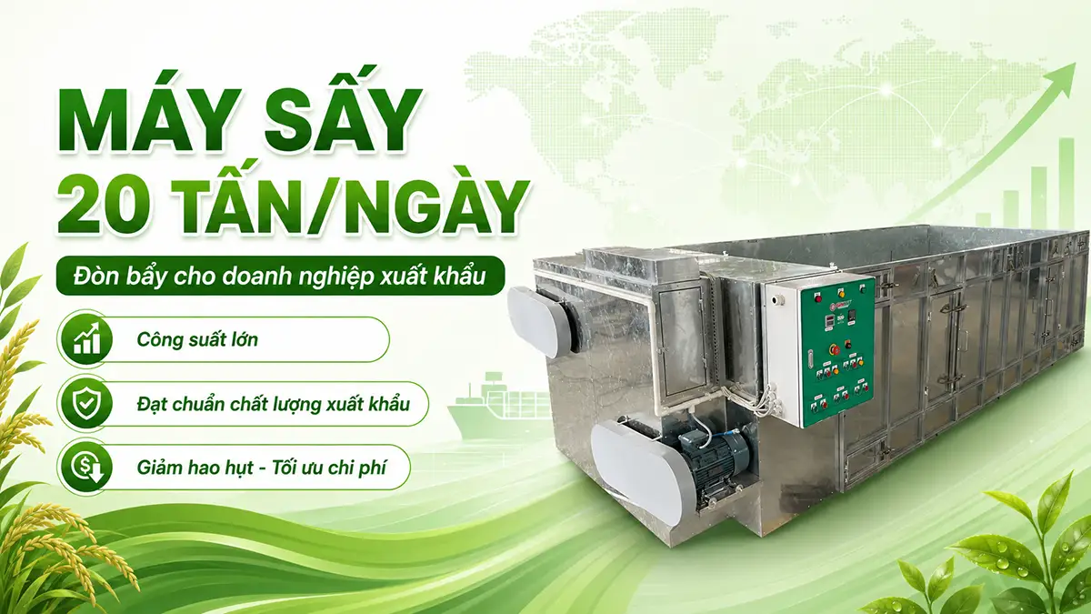 Đầu tư máy sấy 20 tấn/ngày cho doanh nghiệp xuất khẩu để dẫn đầu thị trường