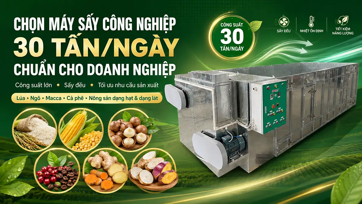 Cách chọn máy sấy công nghiệp 30 tấn/ngày phù hợp với nhu cầu sản xuất