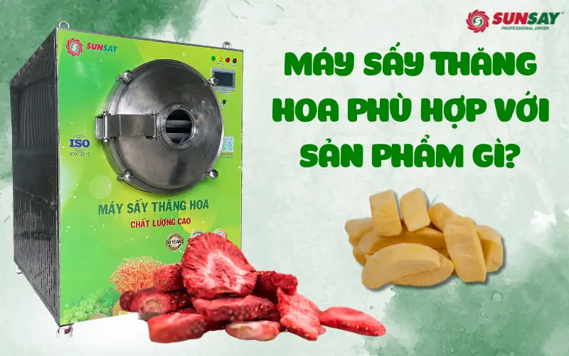 Máy sấy thăng hoa phù hợp với sản phẩm nào? 7 nhóm nguyên liệu nên đầu tư công nghệ này