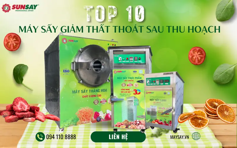TOP 10 máy sấy giảm thất thoát sau thu hoạch hiệu quả nhất