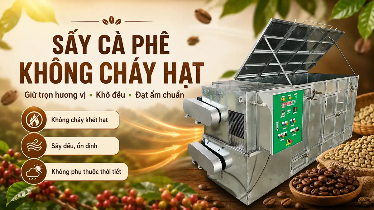 Máy sấy cà phê không làm cháy hạt có thật sự cần thiết cho cơ sở sản xuất cà phê thô?