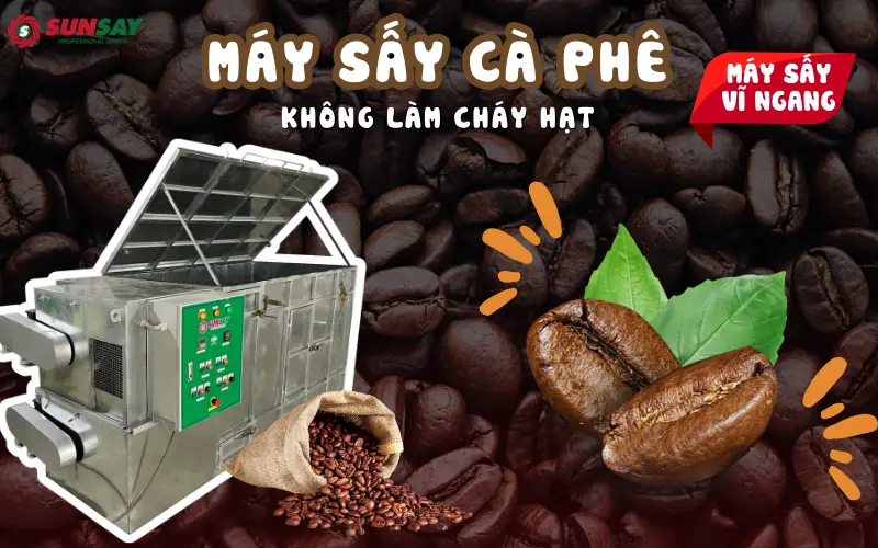 Máy sấy cà phê không làm cháy hạt có thật sự cần thiết cho cơ sở sản xuất cà phê thô