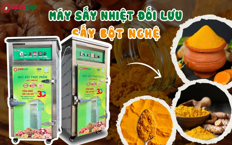 Máy sấy nhiệt đối lưu sấy bột nghệ