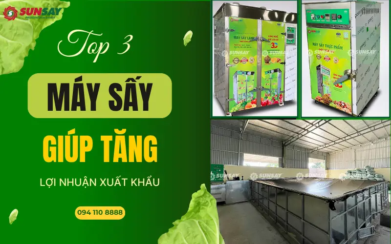 TOP 3 máy sấy giúp tăng lợi nhuận xuất khẩu mà doanh nghiệp không thể bỏ lỡ