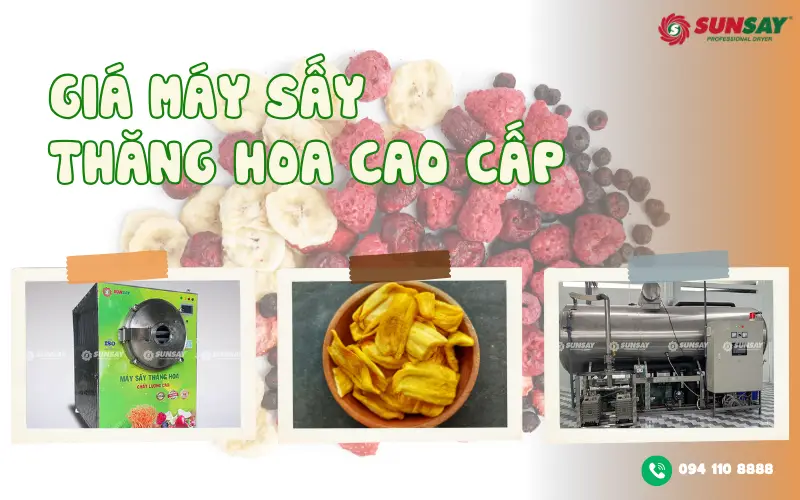 Giá máy sấy thăng hoa cao cấp bao nhiêu