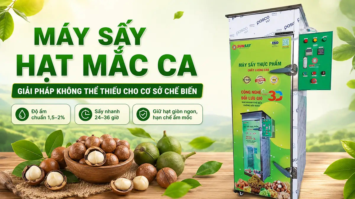 Vì sao máy sấy nông sản sấy hạt mắc ca là thiết bị không thể thiếu cho ngành nông nghiệp chế biến?