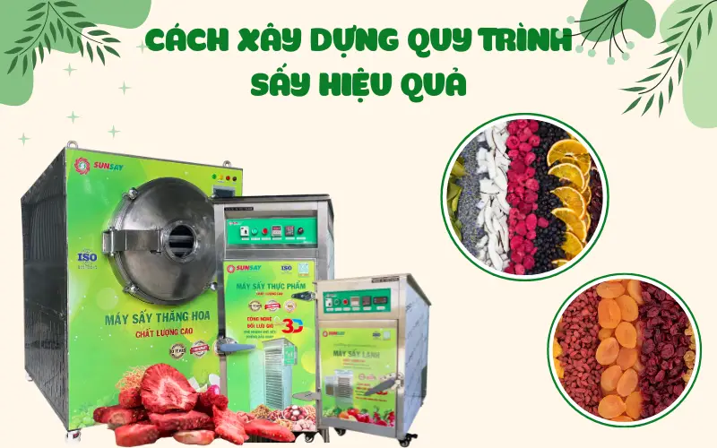 Cách xây dựng quy trình sấy hiệu quả cho doanh nghiệp chế biến trái cây sấy