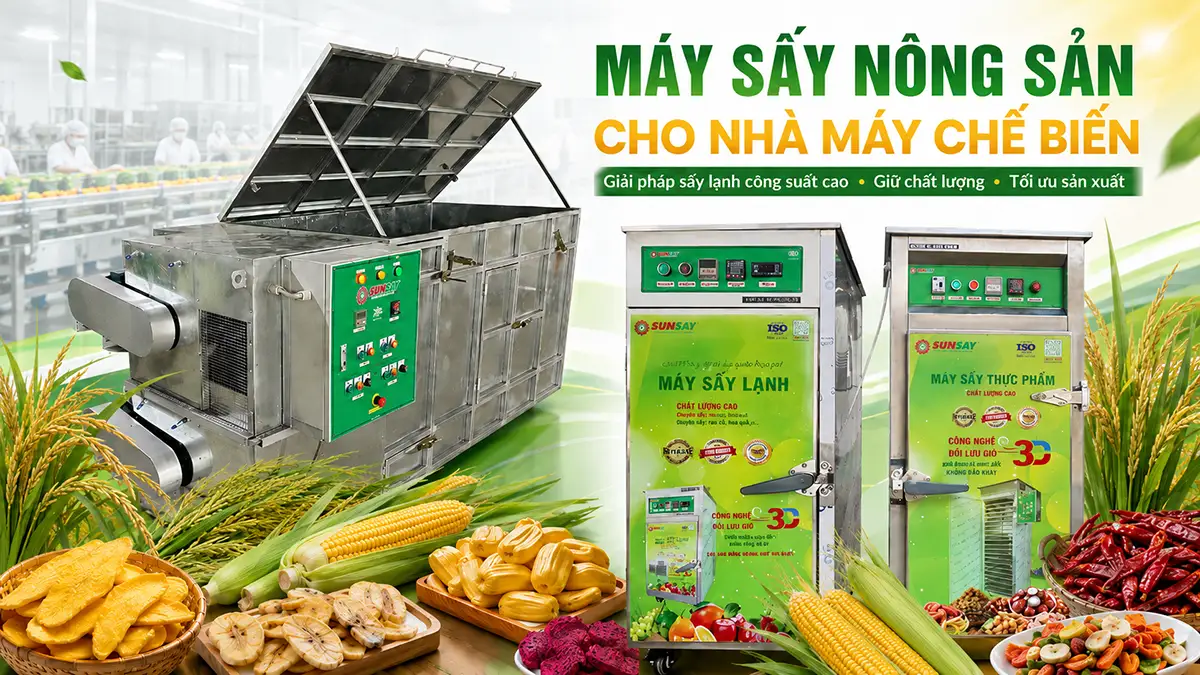 Máy sấy nông sản cho nhà máy chế biến – Giải quyết bài toán mùa vụ và bảo quản