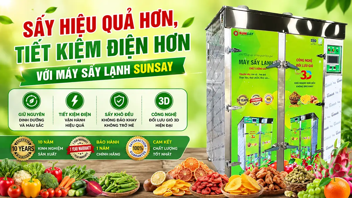 Làm sao để sử dụng máy sấy lạnh SUNSAY hiệu quả mà vẫn tiết kiệm chi phí vận hành?
