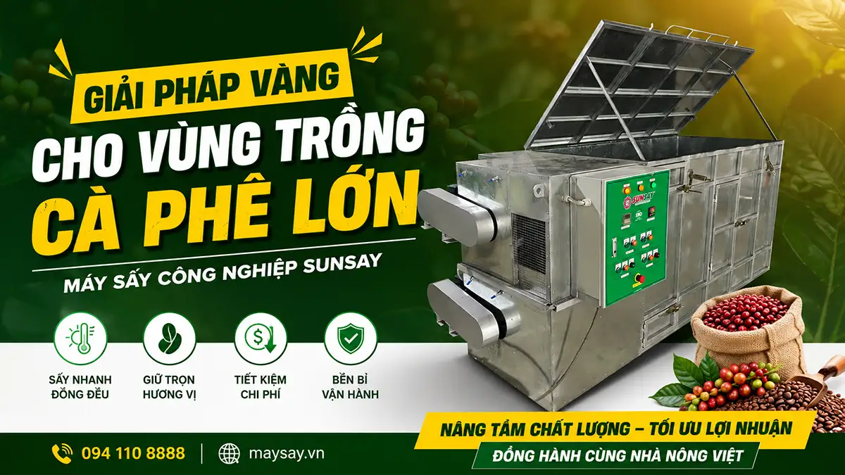 Ứng dụng máy sấy công nghiệp cho vùng trồng cà phê lớn nhằm đảm bảo chất lượng hạt sau thu hoạch