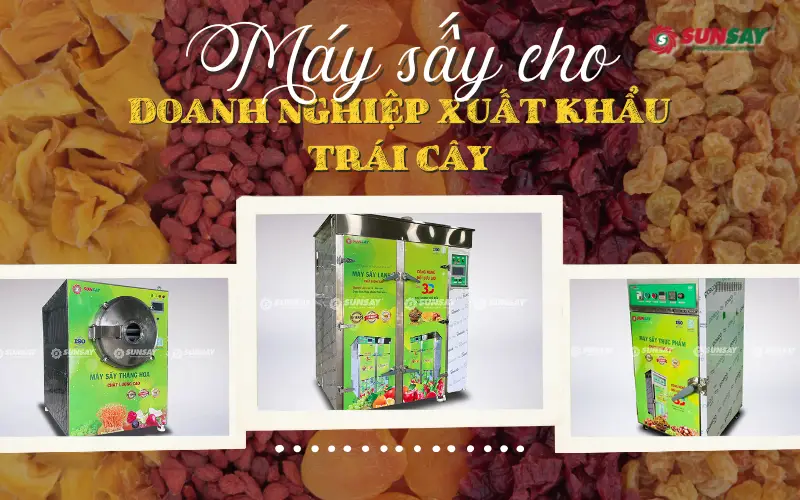 Máy sấy cho doanh nghiệp xuất khẩu trái cây
