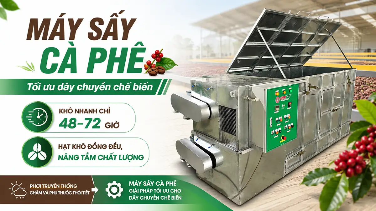 Máy sấy cà phê tối ưu hóa dây chuyền chế biến qua việc rút ngắn thời gian làm khô và đồng đều chất lượng hạt