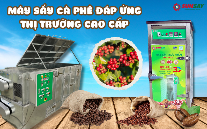 Máy sấy cà phê đáp ứng thị trường cao cấp