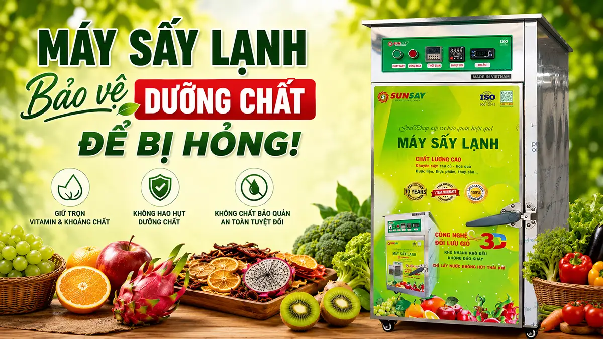 Máy sấy lạnh bảo vệ dưỡng chất dễ bị hỏng – Lựa chọn của các nhà sản xuất thực phẩm cao cấp