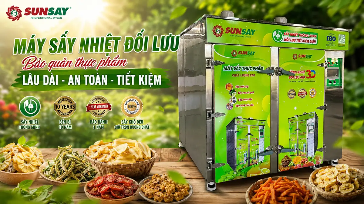 Gia tăng hiệu quả kinh doanh với máy sấy nhiệt đối lưu bảo quản thực phẩm lâu dài