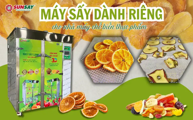 Chuẩn hóa quy trình sấy công nghiệp với máy sấy dành riêng cho nhà máy chế biến thực phẩm