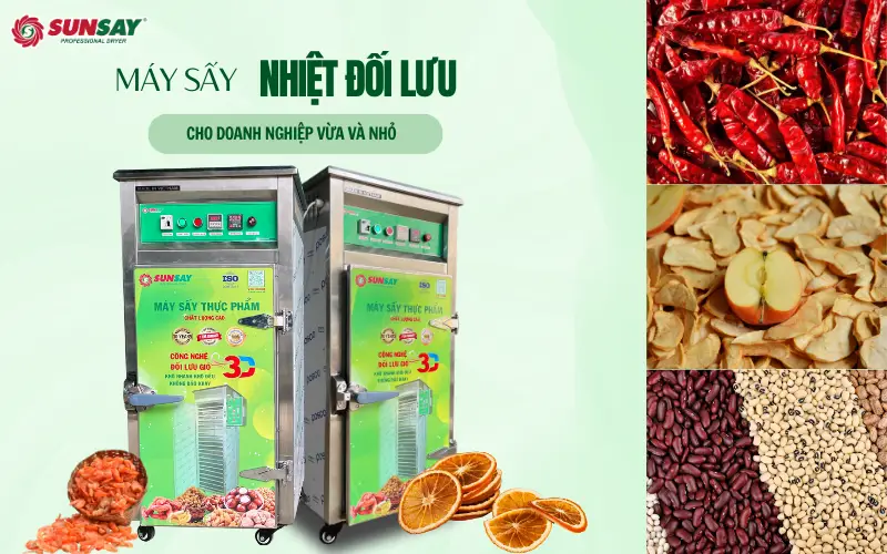 Máy sấy nhiệt đối lưu cho doanh nghiệp vừa và nhỏ