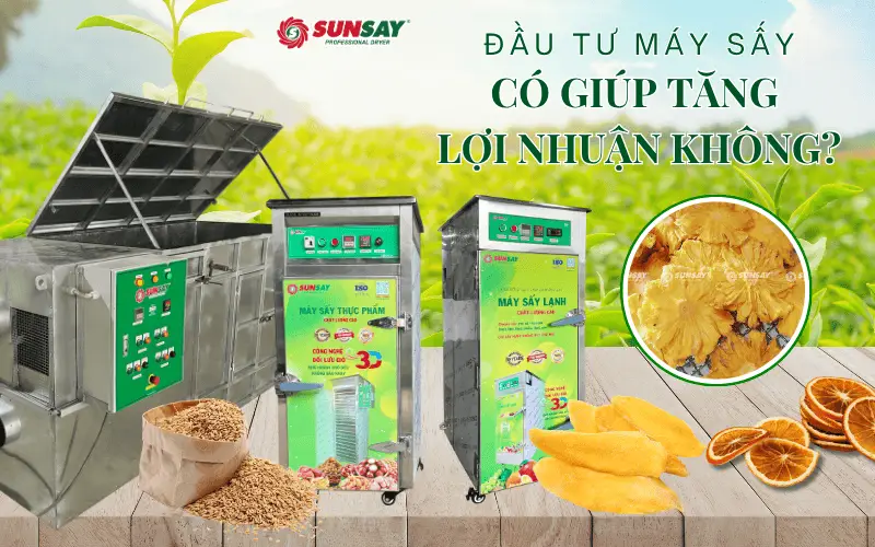 Đầu tư máy sấy có giúp tăng lợi nhuận không?