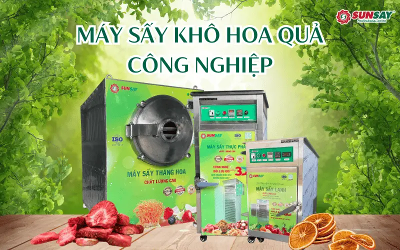 So sánh các dòng máy sấy khô hoa quả công nghiệp phổ biến hiện nay
