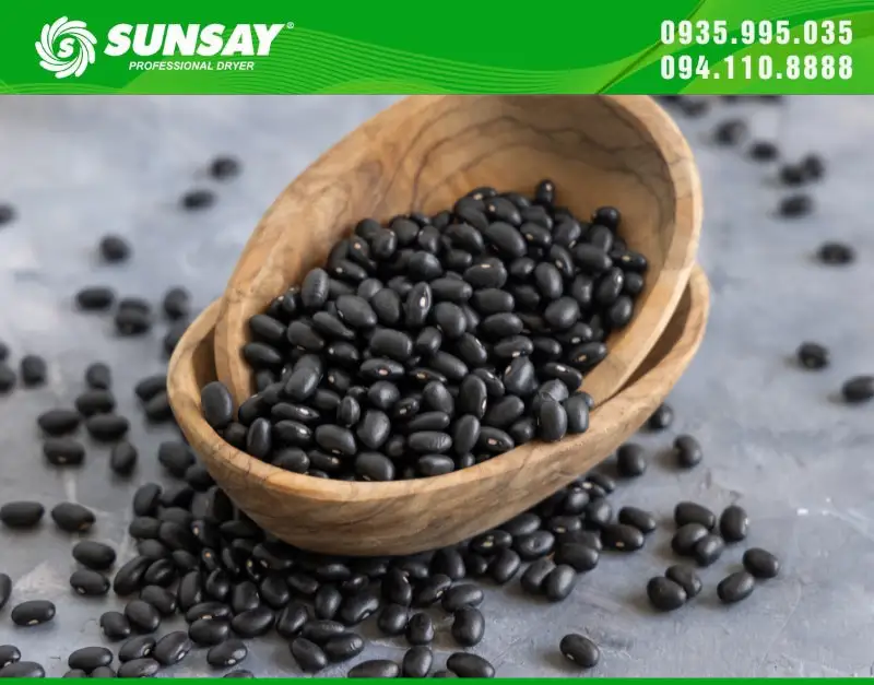 Đậu đen sấy khô với máy sấy SUNSAY