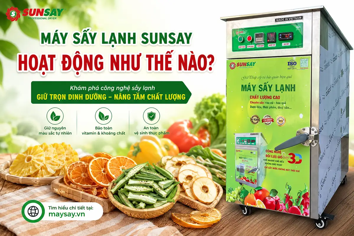 Máy sấy lạnh SUNSAY hoạt động như thế nào? Bên trong quy trình giữ trọn dưỡng chất
