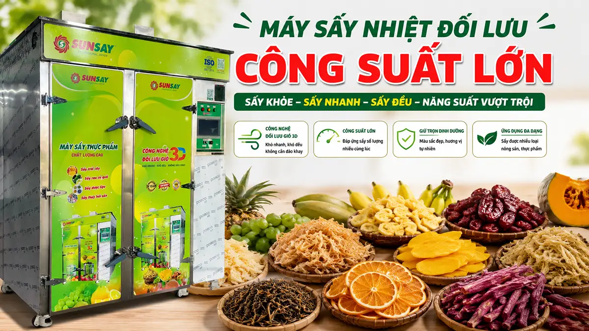 Máy sấy nhiệt đối lưu công suất lớn: Bài toán hiệu suất cho sản xuất quy mô lớn