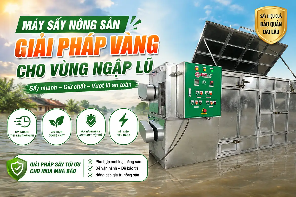 Hiệu quả vượt trội của máy sấy nông sản cho vùng ngập lũ trong điều kiện thời tiết khắc nghiệt