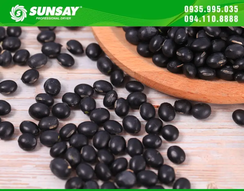Máy sấy đậu đen rang giúp đậu đen khô nhanh chóng và bảo quản được lâu dài