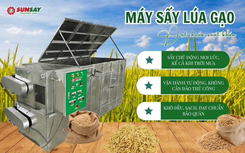 Máy sấy lúa giúp bảo quản qua mùa mưa lũ
