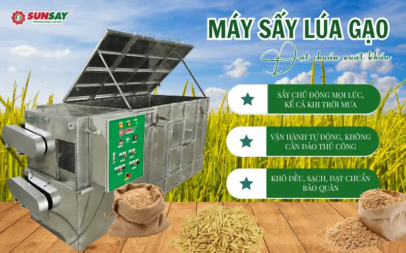 Máy sấy lúa giúp bảo quản qua mùa mưa lũ