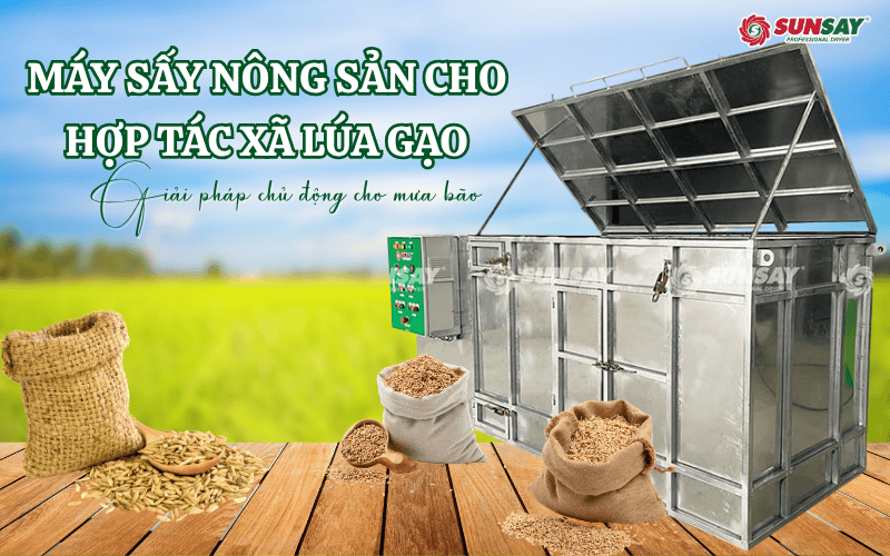 Máy sấy nông sản cho hợp tác xã lúa gạo – Giải pháp chủ động trong mùa mưa bão